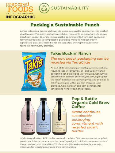 Sustainable Food Packaging Infographic