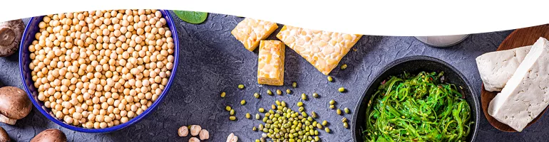 Various Sources of Protein
