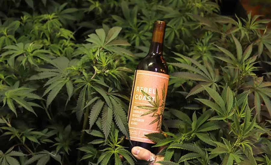 Cannabis Foods & Beverages