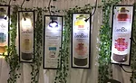 Zen Basil Plant-Based Prebiotic Beverages