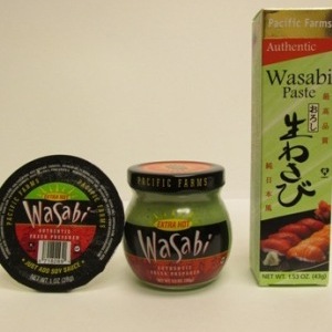 Wasabi in-body