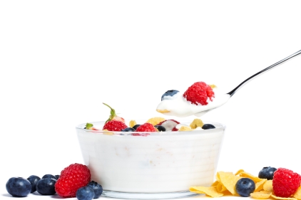 Edlong yogurt dairy cereal