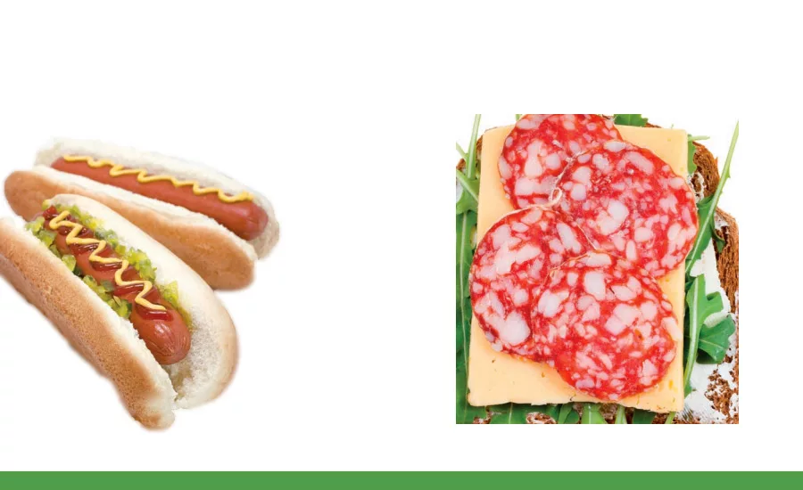 Jungbunzlauer_meats_900