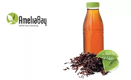 AmeliaBay_0316_900