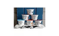 Clover_OrganicYogurt_900