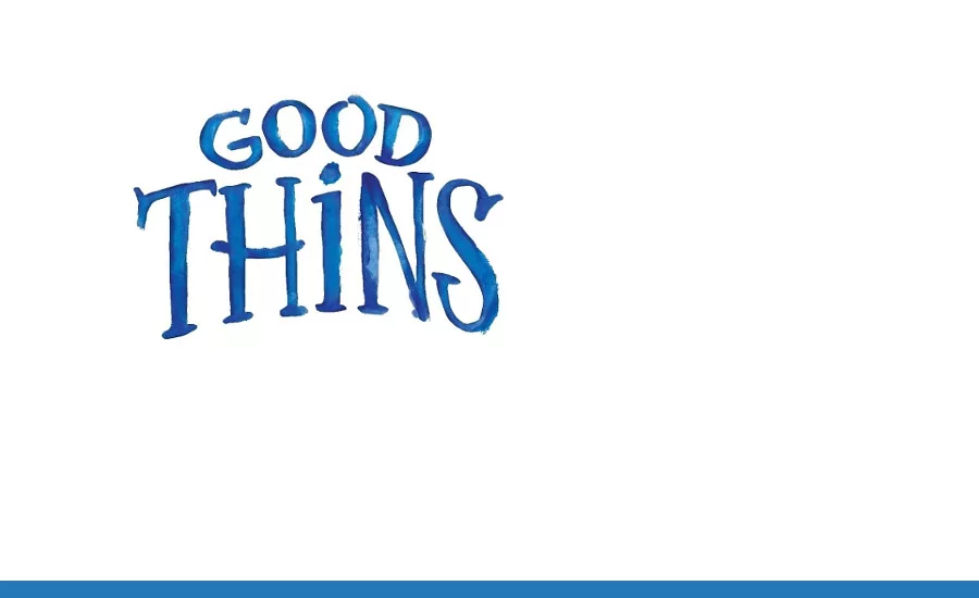 GoodThins_900