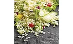 US_Food_4_900