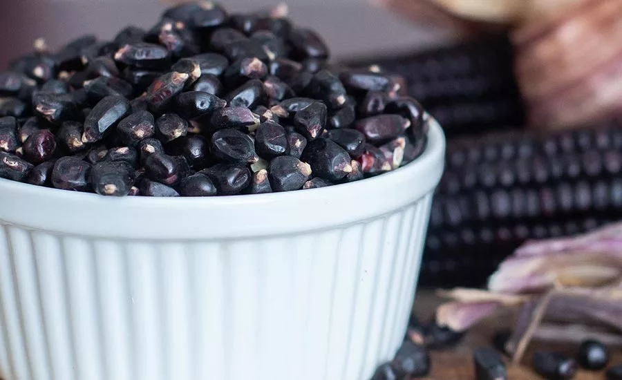 HFISuntava_PurpleCorn.jpg