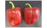 Sufresca_RedPeppers_900.jpg