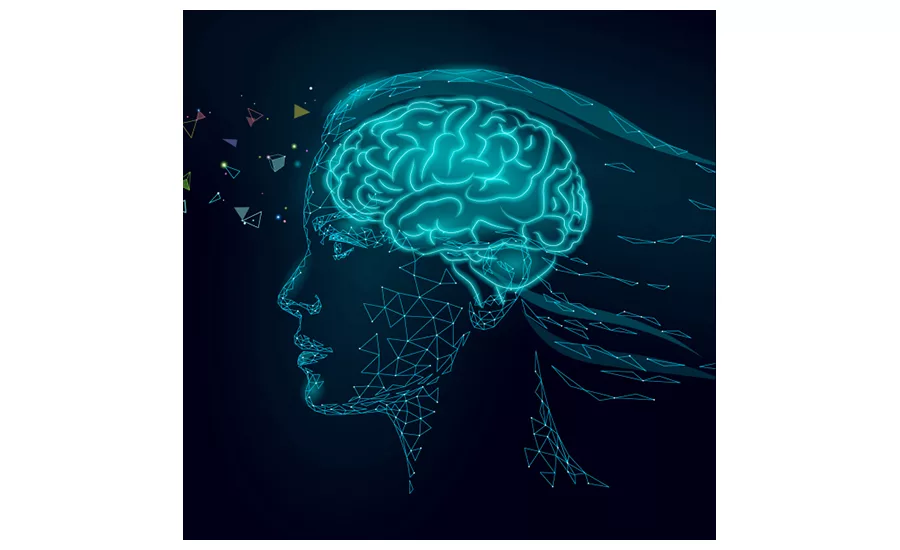 Lipogen_Brain-Nootropics.jpg