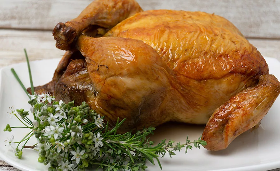 Fuchs_Turkey_900