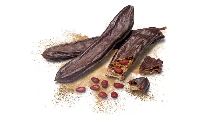 Nexira_Carob21_780.jpg