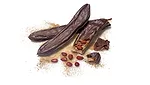 Nexira_Carob21_780.jpg