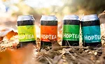 HopTea2