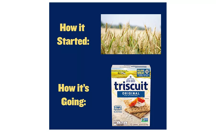 Triscuit-Follow-the-Wheat.jpg