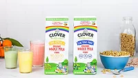 CloverRanibow_780.jpg