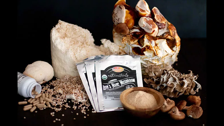 MontereyMushroom_780.jpg