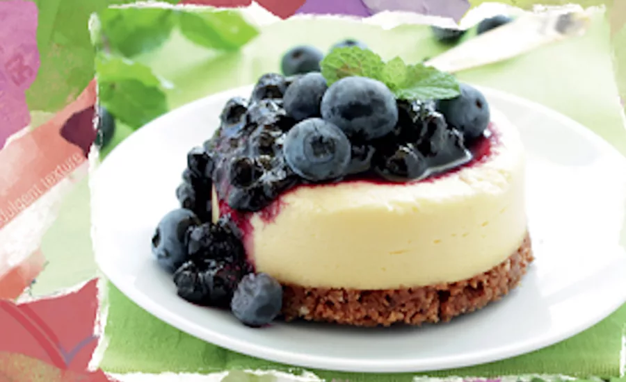 vegan_cheescake.BeneoInc.jpg