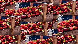 DianaFood_Strawberries_780.jpg