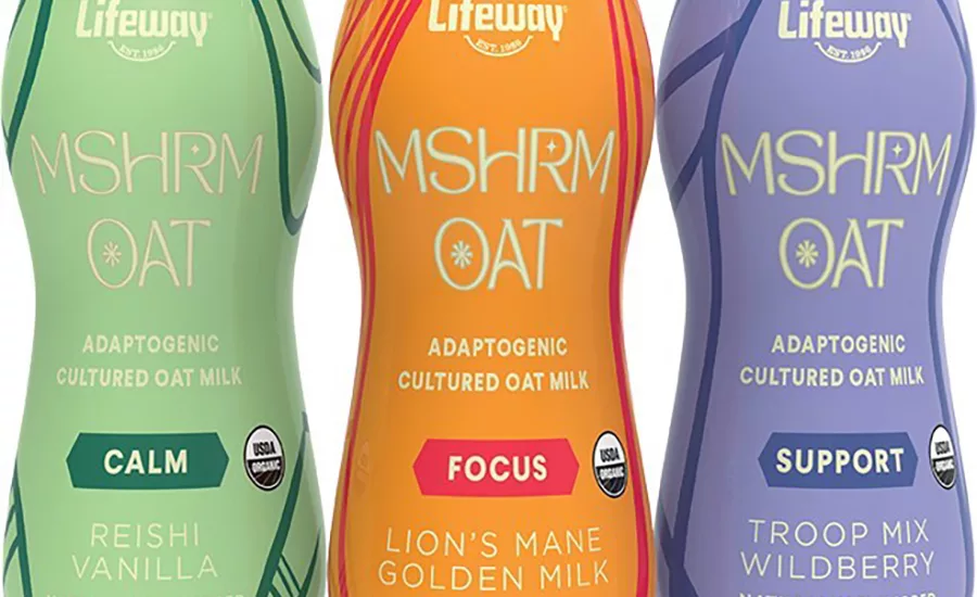 MSHRM_Group_Lifeway.jpg