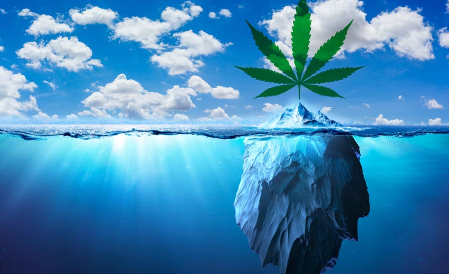 Cannabis Leaf and Iceberg