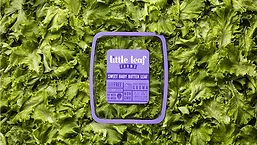 LittleLeafFarms_780.jpg