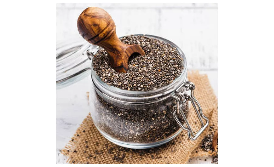 toasted-chia-seeds_seeds-of-wellnessLLC.jpg