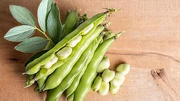 Foodiq_780.jpg