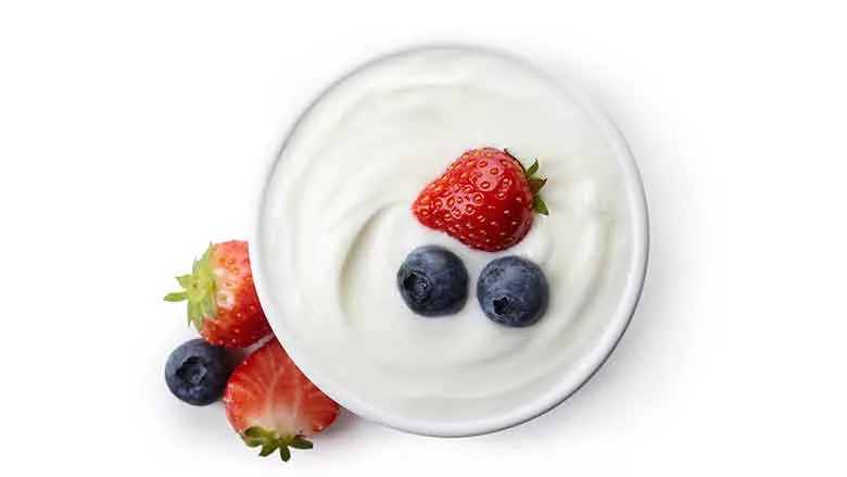 THasegawaYogurt_780.jpg