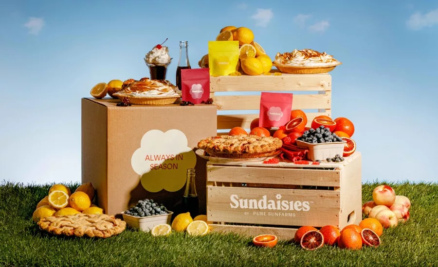 sundaisies_web.jpg