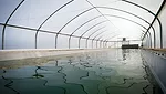 SimpliiGood_0123B_780.jpg