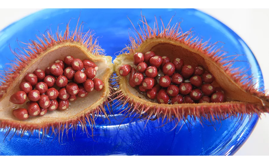 annatto_ARN.jpg