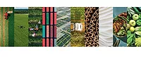 S2GVentures_23Trends_780.jpg