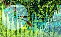 Marijuana chart