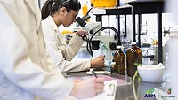 Female Scientist Looking Through Microscope
