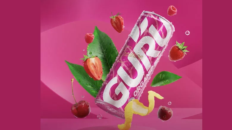 GuruOrgEnergy_780.jpg
