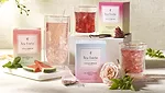 TeaForte_Infusions_780.jpg
