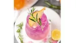Mingle_PinkCocktail_780.jpg
