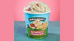 Ben & Jerrys Strawberry Cheezcake Non Dairy Ice Cream