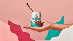 Yoplait Protein Product