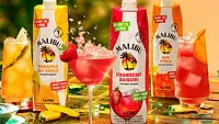 Malibu Ready 2 Serve package