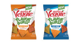 Garden Veggie Flavor Burst Chips