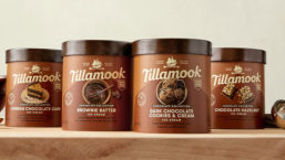 Tillamook Chocolate ice cream collection
