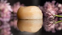 Scallop made with cell-based technology