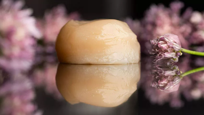 Scallop made with cell-based technology
