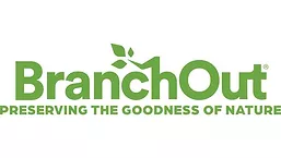 Branch Out logo