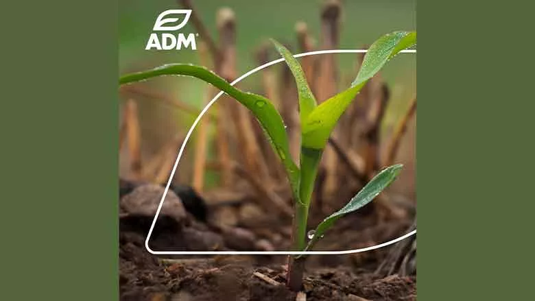 ADM Regenerative Report