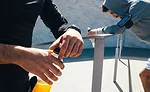 Athletes Recovering and Holding Sports Drinks