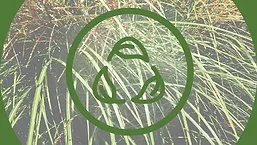 Sustainability Logo with Grass