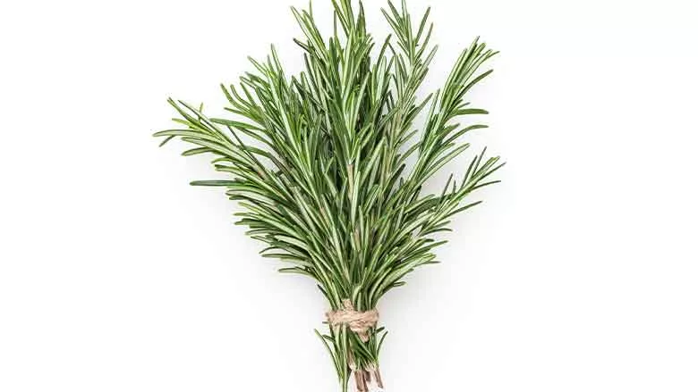 Rosemary Blue California